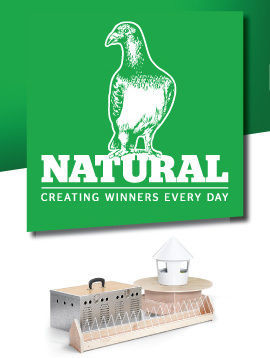 Natural Pigeon Accessories อุปกรณ์เสริมนกพิราบแข่ง แนเชอรัล  กรงนกพิราบแข่ง ชามไข่นกพิราบ ถาดอาหารนกพิราบ ที่แคะขี้นก อุปกรณ์กรงนกพิราบ