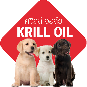 #หมาแสนรู้ #หมาฉลาด #หมาขนสวย เบอร์นี้ บำรุงแค่น้ำมันปลาแซลมอนคงไม่พอ
อย่างนี้ต้องเสริมด้วย Krill Oil สกัดจากกุ้งน้ำลึก มหาสมุทรแอตแลนติก
 
#อาหารลูกสุนัข Opti Life Prime #อร่อยดีมีประโยชน์ เพราะทำจาก