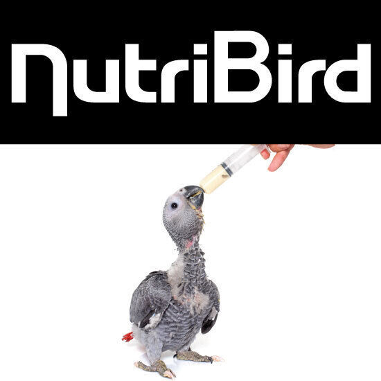 อาหารนก นกแก้ว นกปากขอ parrot มาคอว์ ลูกนก ลูกนกแก้ว ลูกป้อน อาหารลูกป้อน อาหารเบบี้เบิร์ด Nutribird Handfeeding Versele-laga Kaytee Delinature นูทริเบิร์ด เวอร์เซเล-ลากา เดลิเนเจอร์ เคธี่